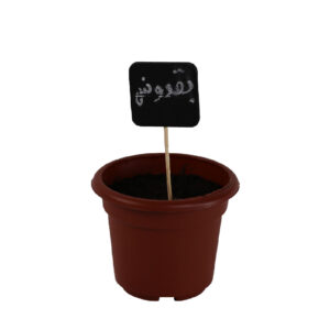 Gardening-Pot